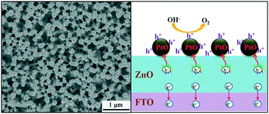Graphical abstract: ZnO nanowire arrays decorated with PtO nanowires for efficient solar water splitting
