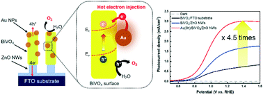 Graphical abstract: Plasmonic gold nanoparticle-decorated BiVO4/ZnO nanowire heterostructure photoanodes for efficient water oxidation