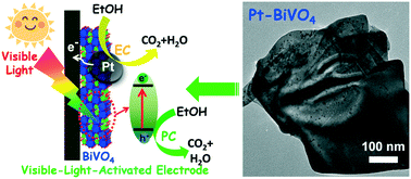 Graphical abstract: Enhanced electrocatalytic ethanol oxidation reaction in alkaline media over Pt on a 2D BiVO4-modified electrode under visible light irradiation