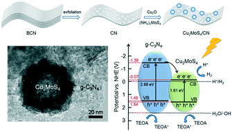 Graphical abstract: Efficient spatial charge separation and transfer in ultrathin g-C3N4 nanosheets modified with Cu2MoS4 as a noble metal-free co-catalyst for superior visible light-driven photocatalytic water splitting