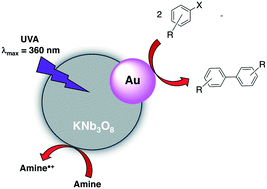 Graphical abstract: Light-activated Ullmann homocoupling of aryl halides catalyzed using gold nanoparticle-functionalized potassium niobium oxides