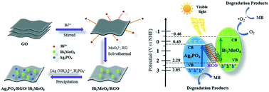 Graphical abstract: Construction and mechanism of a highly efficient and stable Z-scheme Ag3PO4/reduced graphene oxide/Bi2MoO6 visible-light photocatalyst