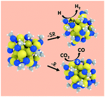 Graphical abstract: Elucidating the active sites for CO2 electroreduction on ligand-protected Au25 nanoclusters