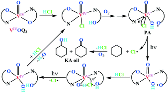 Graphical abstract: HCl and O2 co-activated bis(8-quinolinolato) oxovanadium(iv) complexes as efficient photoactive species for visible light-driven oxidation of cyclohexane to KA oil