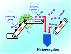 Graphical abstract: Cobalt-catalyzed C–H activation: recent progress in heterocyclic chemistry