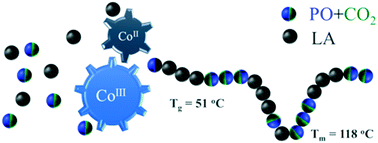 Graphical abstract: One-pot copolymerization of epoxides/carbon dioxide and lactide using a ternary catalyst system