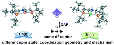 Graphical abstract: A DFT study of Co(i) and Ni(ii) pincer complex-catalyzed hydrogenation of ketones: intriguing mechanism dichotomy by ligand field variation