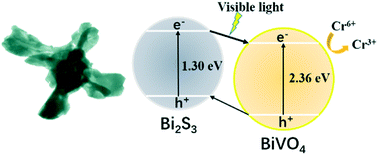 Graphical abstract: Hollow BiVO4/Bi2S3 cruciate heterostructures with enhanced visible-light photoactivity