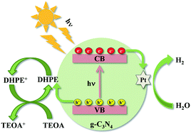 Graphical abstract: Hantzsch ester as hole relay significantly enhanced photocatalytic hydrogen production