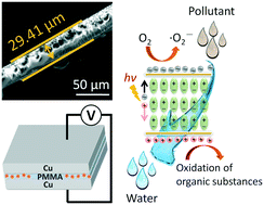 Graphical abstract: Facile fabrication of well-polarized Bi2WO6 nanosheets with enhanced visible-light photocatalytic activity