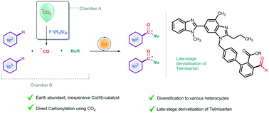 Graphical abstract: Site-selective C–H bond carbonylation with CO2 and cobalt-catalysis