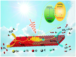 Graphical abstract: In situ hydrothermal etching fabrication of CaTiO3 on TiO2 nanosheets with heterojunction effects to enhance CO2 adsorption and photocatalytic reduction