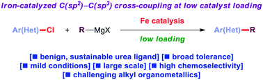 Graphical abstract: Iron-catalyzed C(sp2)–C(sp3) cross-coupling at low catalyst loading