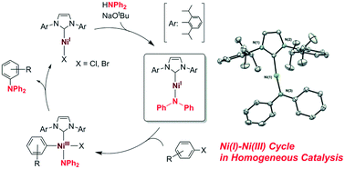 Graphical abstract: Ni(i)–Ni(iii) cycle in Buchwald–Hartwig amination of aryl bromide mediated by NHC-ligated Ni(i) complexes