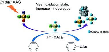 Graphical abstract: In situ XAS study of the local structure and oxidation state evolution of palladium in a reduced graphene oxide supported Pd(ii) carbene complex during an undirected C–H acetoxylation reaction