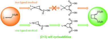 Graphical abstract: Mechanistic insight into the highly regioselective Ni(0)-catalyzed [2 + 2] self-cycloaddition of electron-deficient allenoates