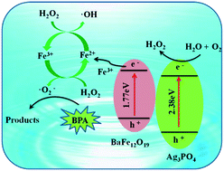 Graphical abstract: Fabrication of magnetic BaFe12O19/Ag3PO4 composites with an in situ photo-Fenton-like reaction for enhancing reactive oxygen species under visible light irradiation