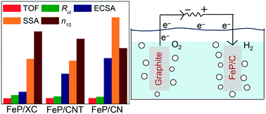 Graphical abstract: The impact of microstructural features of carbon supports on the electrocatalytic hydrogen evolution reaction