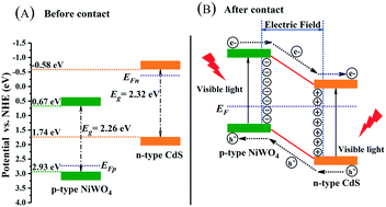 Graphical abstract: Accelerated charge transfer via a nickel tungstate modulated cadmium sulfide p–n heterojunction for photocatalytic hydrogen evolution