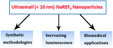 Graphical abstract: Current progress in the controlled synthesis and biomedical applications of ultrasmall (<10 nm) NaREF4 nanoparticles