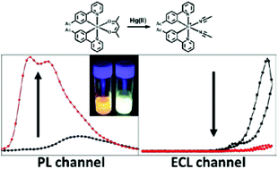 Graphical abstract: Ir(iii) complex-based phosphorescence and electrochemiluminescence chemodosimetric probes for Hg(ii) ions with high selectivity and sensitivity