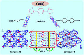 Graphical abstract: Flexible and rigid dicarboxylic acids enable the assembly of achiral and chiral 3D Co(ii) metal–organic frameworks