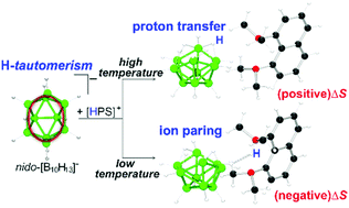 Graphical abstract: Decaborane anion tautomerism: ion pairing and proton transfer control
