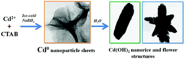Graphical abstract: Surfactant-assisted synthesis of metallic cadmium, cadmium hydroxide nanostructures and their electrochemical charge storage properties