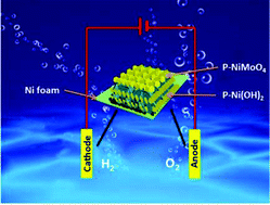 Graphical abstract: Superaerophobic P-doped Ni(OH)2/NiMoO4 hierarchical nanosheet arrays grown on Ni foam for electrocatalytic overall water splitting