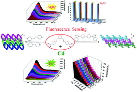 Graphical abstract: From 2D → 3D interpenetration to packing: N coligand-driven structural assembly and tuning of luminescent sensing activities towards Fe3+ and Cr2O72− ions