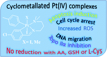 Graphical abstract: Synthesis, characterization and biological activity of new cyclometallated platinum(iv) complexes containing a para-tolyl ligand