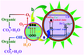 Graphical abstract: Enhanced visible light catalysis activity of CdS-sheathed SrAl2O4:Eu2+,Dy3+ nanocomposites