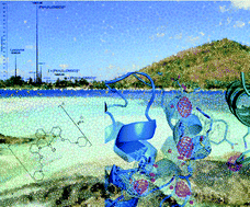 Graphical abstract: A case of extensive protein platination: the reaction of lysozyme with a Pt(ii)–terpyridine complex