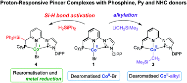 Graphical abstract: Reactivity of a dearomatised pincer CoIIBr complex with PNCNHC donors: alkylation and Si–H bond activation via metal–ligand cooperation