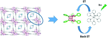 Graphical abstract: Guest to framework photoinduced electron transfer in a cobalt substituted RWLC-2 metal organic framework