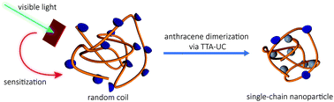 Graphical abstract: Fabrication of single-chain nanoparticles through the dimerization of pendant anthracene groups via photochemical upconversion