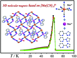 Graphical abstract: Syntheses, structures, and magnetic properties of three new MnII–[MoIII(CN)7]4− molecular magnets