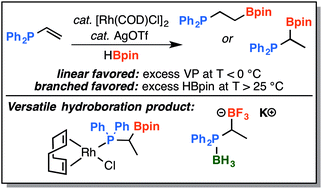Graphical abstract: Access to a pair of ambiphilic phosphine–borane regioisomers by rhodium-catalyzed hydroboration