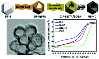 Graphical abstract: Tannic acid-mediated synthesis of dual-heteroatom-doped hollow carbon from a metal–organic framework for efficient oxygen reduction reaction