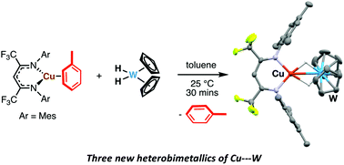 Graphical abstract: Preparation and characterisation of heterobimetallic copper–tungsten hydride complexes
