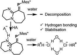 Graphical abstract: Reactivity studies of an imine-functionalised phosphaalkene; unusual electrostatic and supramolecular stabilisation of a σ2λ3-phosphorus motif via hydrogen bonding