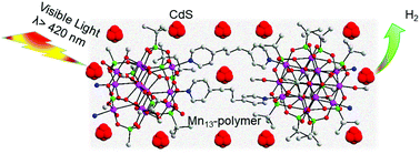Graphical abstract: A Mn13-cluster based coordination polymer as a co-catalyst of CdS for enhanced visible-light driven H2 evolution