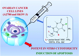 Graphical abstract: Synthesis of new allyl palladium complexes bearing purine-based NHC ligands with antiproliferative and proapoptotic activities on human ovarian cancer cell lines