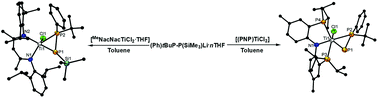 Graphical abstract: Reactions of (Ph)tBuP-P(SiMe3)Li·3THF with [(PNP)TiCl2] and [MeNacNacTiCl2·THF]: synthesis of first PNP titanium(iv) complex with the phosphanylphosphinidene ligand [(PNP)Ti(Cl){η2-P-P(Ph)tBu}]