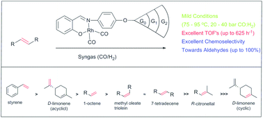 Graphical abstract: Synthesis and hydroformylation evaluation of Fréchet-type organometallic dendrons with N,O-salicylaldimine Rh(i) complexes at the focal point