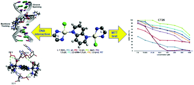 Graphical abstract: Synthesis, cytotoxic activity and DNA interaction studies of new dinuclear platinum(ii) complexes with an aromatic 1,5-naphthyridine bridging ligand: DNA binding mode of polynuclear platinum(ii) complexes in relation to the complex structure