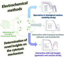 Graphical abstract: Mesoporous SBA-15 modified with titanocene complexes and ionic liquids: interactions with DNA and other molecules of biological interest studied by solid state electrochemical techniques