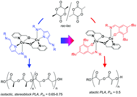Graphical abstract: Dinuclear iminophenoxide copper complexes in rac-lactide polymerisation