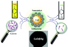 Graphical abstract: Silver nanoparticle embedded copper oxide as an efficient core–shell for the catalytic reduction of 4-nitrophenol and antibacterial activity improvement