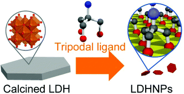Graphical abstract: Precise size control of layered double hydroxide nanoparticles through reconstruction using tripodal ligands